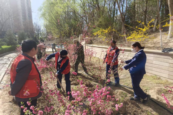 【住宅物业】清水湾服务处”认养一棵树，共筑绿色家园