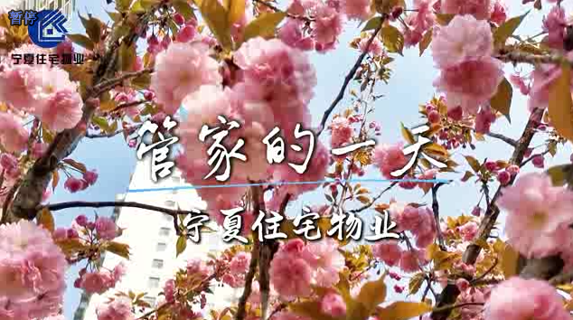 无微不至，服务每处细节，日复一日，守护从不间断。