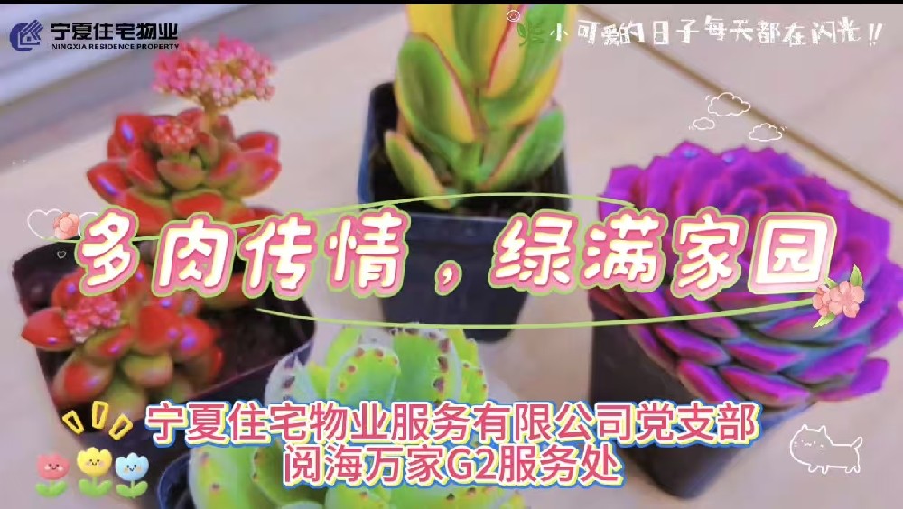 【住宅物业】阅海万家G2服务处 多肉传情 绿满家园